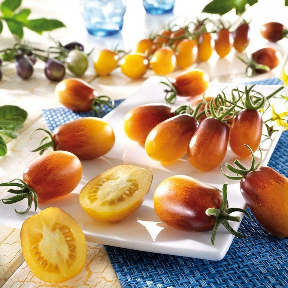 💥Indigo Pear Drops Tomato Seeds🍅