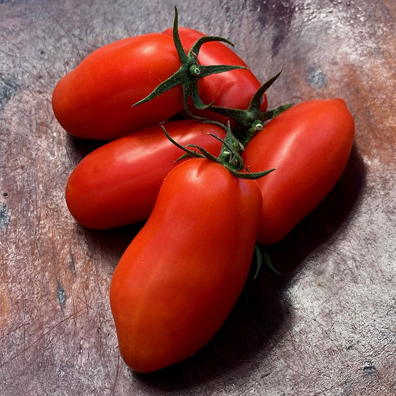 ๐
๐ฅSan Marzano Tomato Seeds