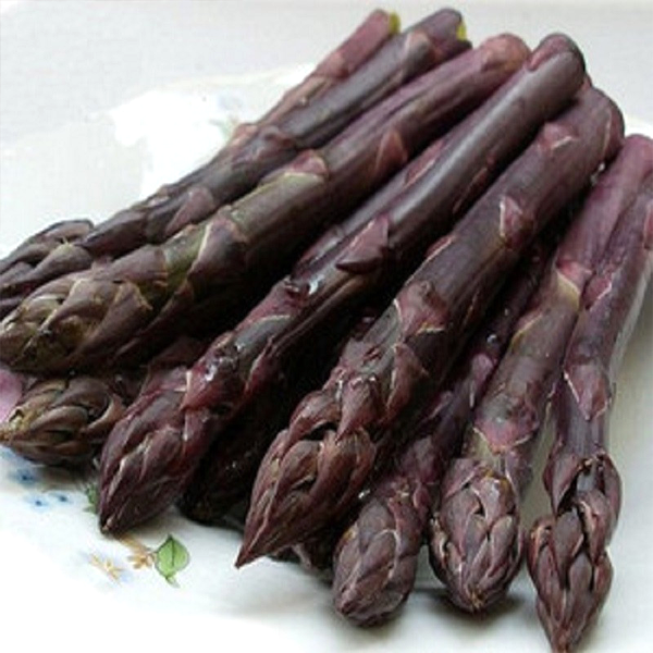 🥂100 PCS Fruity Asparagus Seeds 😝