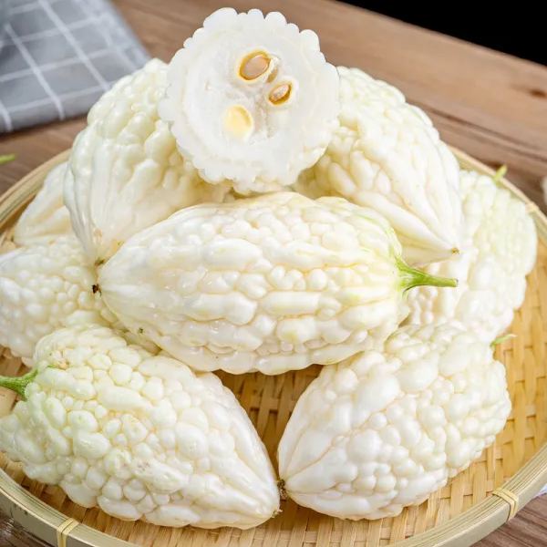 ๐41% off ๐ฅ50 PCS White Jade Bitter Melon Seeds๐