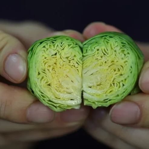 🎉Mini Cabbage Seeds Brussels Sprouts Seeds