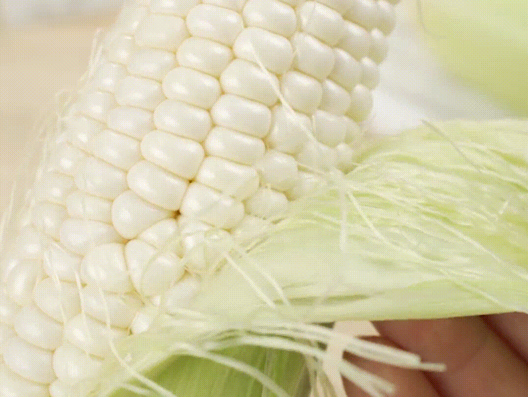 🥂100 PCS Milk Corn Seeds🌽