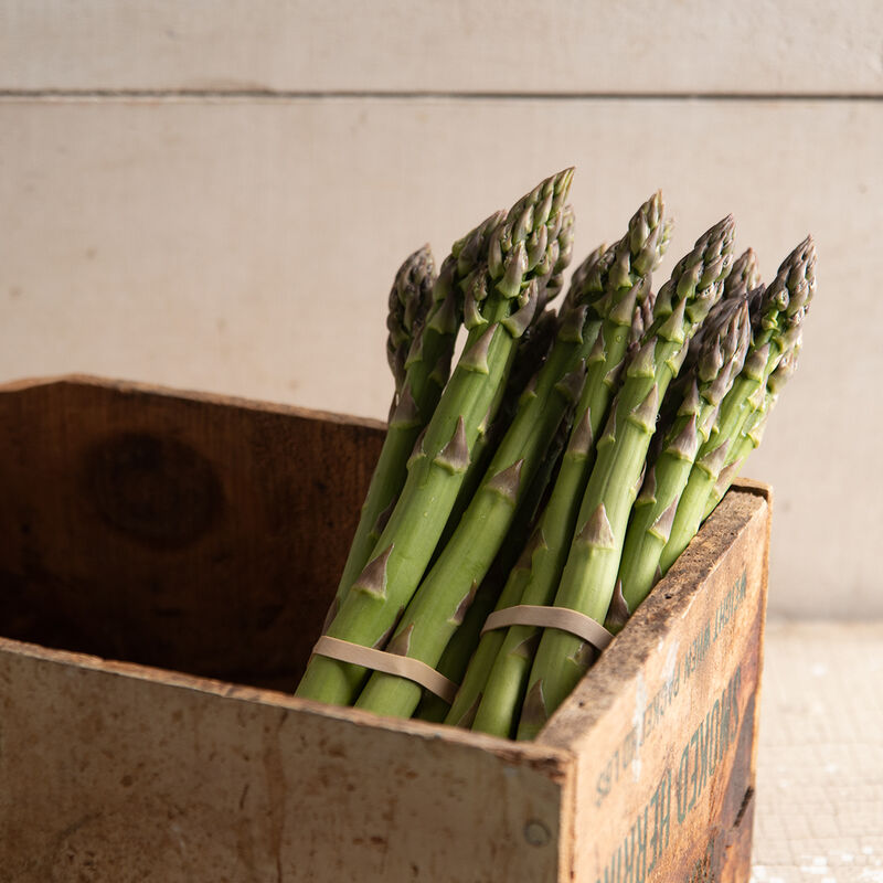 🥂100 PCS  Fruity Asparagus Seeds 😝
