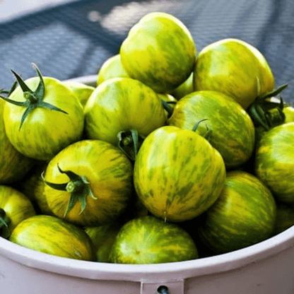 Green Zebra Tomato Seeds - Open Pollinated, Non GMO 20 seeds/pack