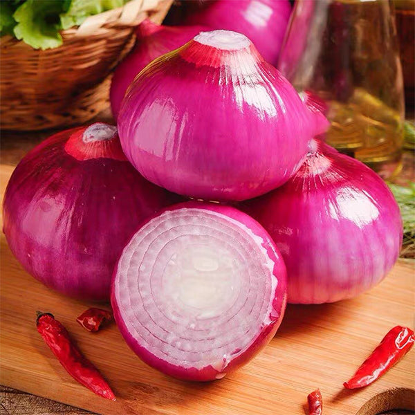 🎆35% off 🥂100 PCS  Purple Skinned Fruit Onion Seeds🧅