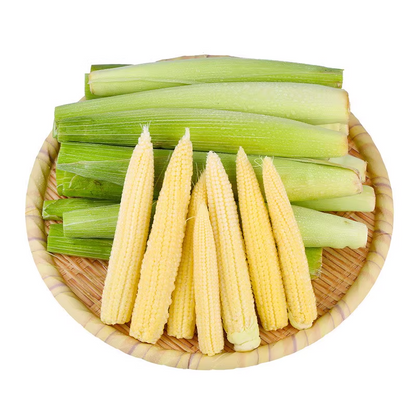 💥🌽Mini palm corn shoot seeds