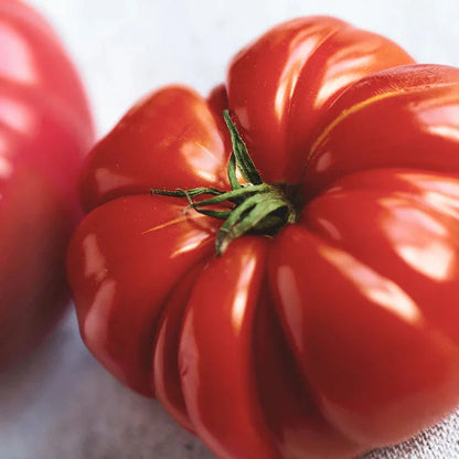 🍅Giant Beef Tomato Seeds-Up-To-2Kg