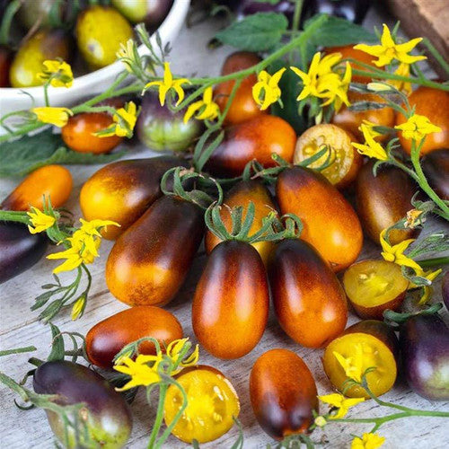 💥Indigo Pear Drops Tomato Seeds🍅