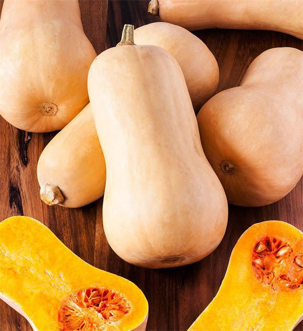 Squash F1 Organic