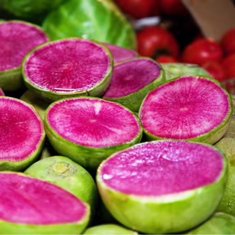 🍉Giant Fruit Watermelon Radish Seeds🥕