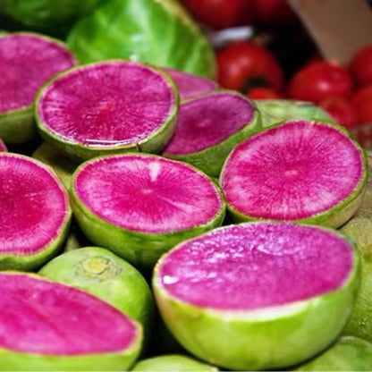 🍉Giant Fruit Watermelon Radish Seeds🥕