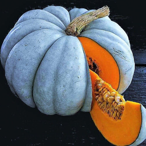 Jarrahdale Blue Pumpkin Seeds