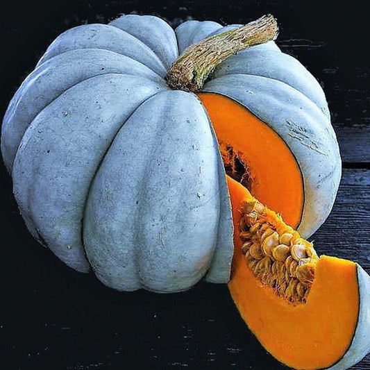 Jarrahdale Blue Pumpkin Seeds