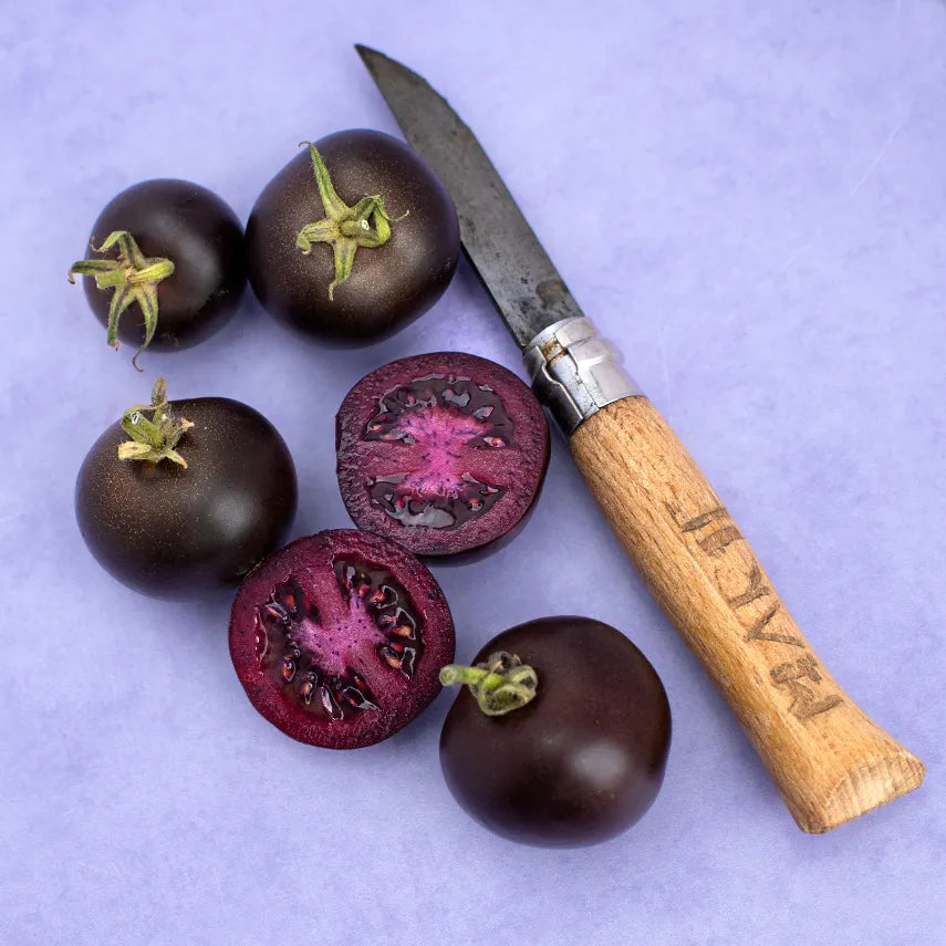 Purple Galaxy Tomato Seeds