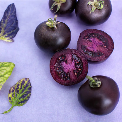 Purple Galaxy Tomato Seeds