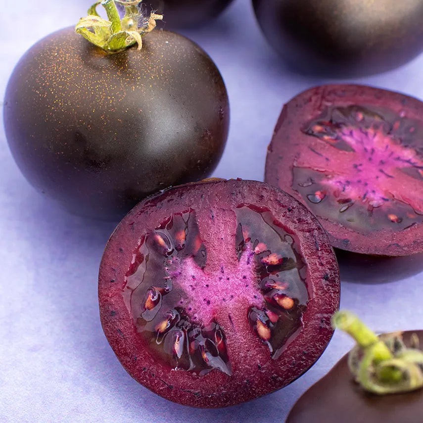 Purple Galaxy Tomato Seeds