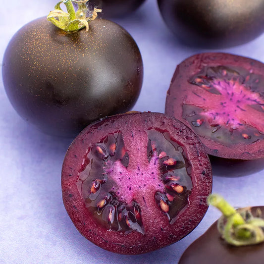 Purple Galaxy Tomato Seeds
