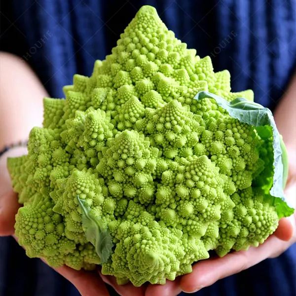 Pagoda Cauliflower Seeds