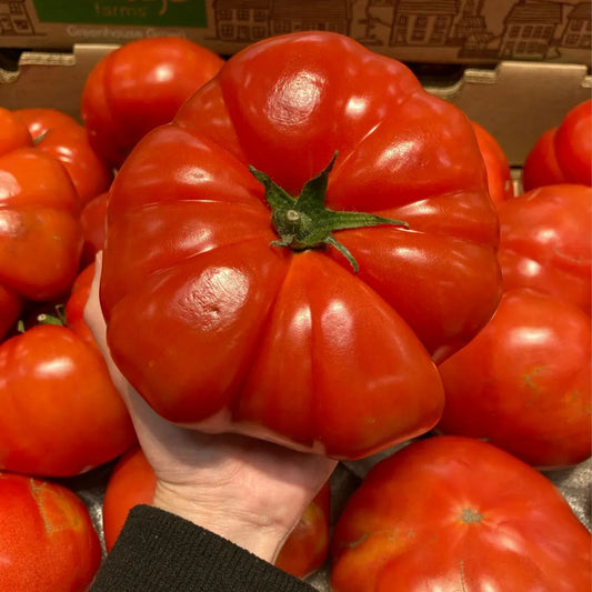 🍅Giant Beef Tomato Seeds-Up-To-2Kg