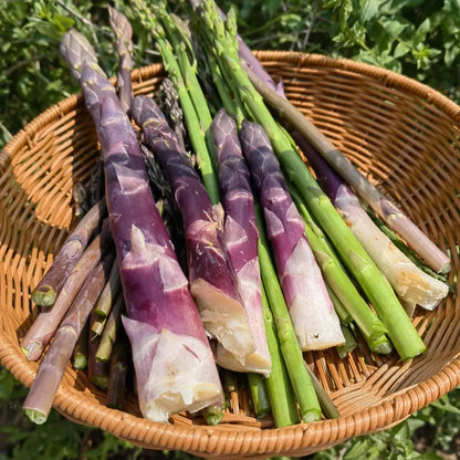 🥂100 PCS  Fruity Asparagus Seeds 😝