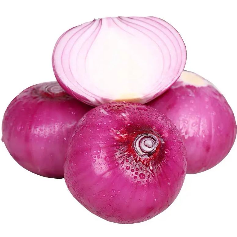 🎆35% off 🥂100 PCS  Purple Skinned Fruit Onion Seeds🧅