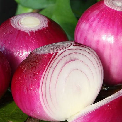 🎆35% off 🥂100 PCS  Purple Skinned Fruit Onion Seeds🧅