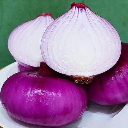 🎆35% off 🥂100 PCS  Purple Skinned Fruit Onion Seeds🧅