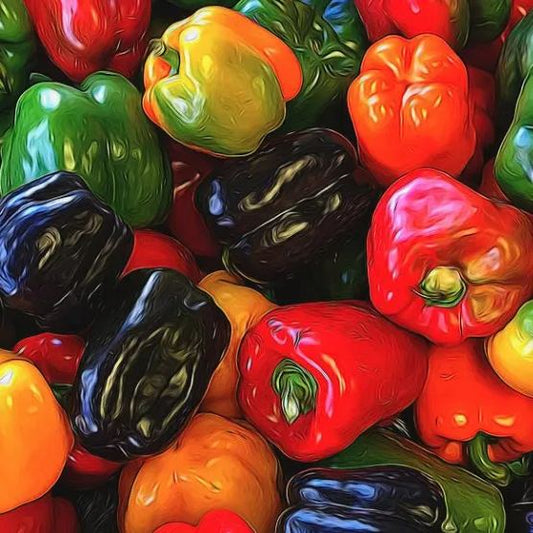 🎆36% off 🥂100 PCS Sweet Rainbow Mix Pepper Seeds🫑