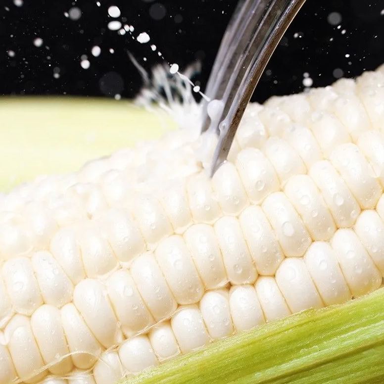 🥂100 PCS  Milk Corn Seeds🌽