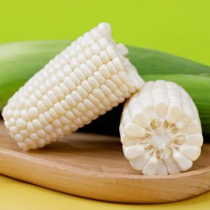 🥂100 PCS  Milk Corn Seeds🌽