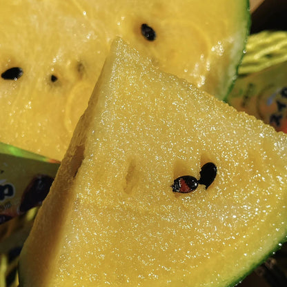 🍧🍉Ice Cream Watermelon Seeds