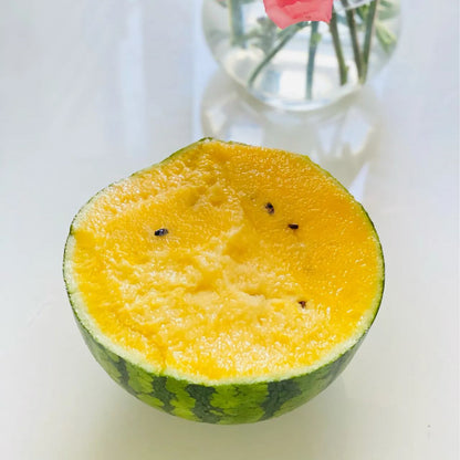 🍧🍉Ice Cream Watermelon Seeds
