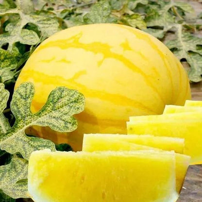 🎊38% OFF☀️Gold In Gold Hybrid Watermelon Seeds🍉