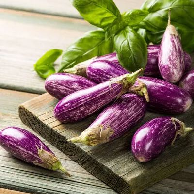 🍆Hot Sale🔥Mini Thumb Eggplant seeds