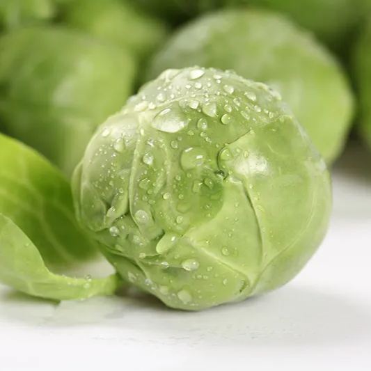 🎉Mini Cabbage Seeds Brussels Sprouts Seeds