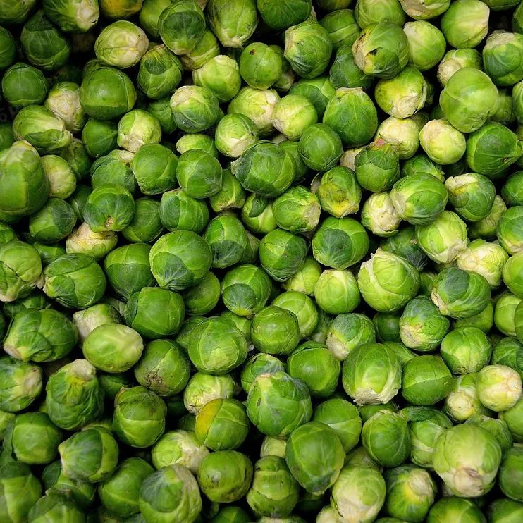 🎉Mini Cabbage Seeds Brussels Sprouts Seeds