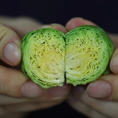 🎉Mini Cabbage Seeds Brussels Sprouts Seeds