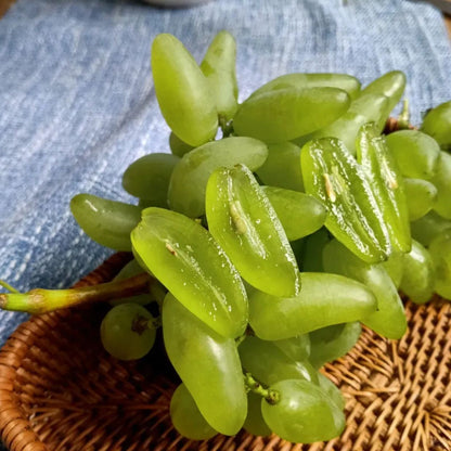 🍇Finger Grapes Gem Grapes Seeds
