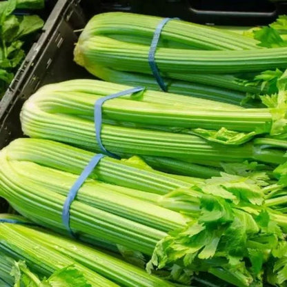 🍃Green Organic Celery Seeds--Healthy Delicious