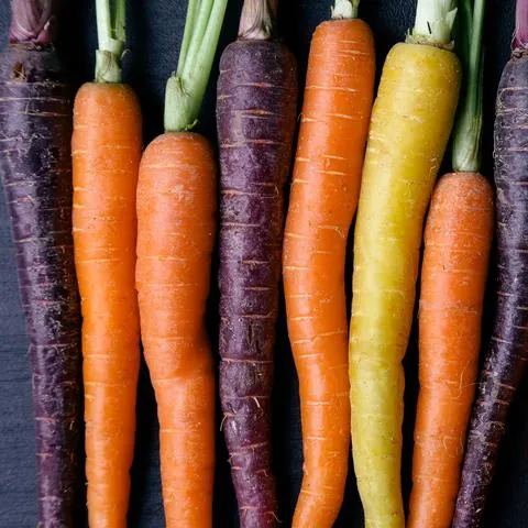 🍃Green Organic Celery Seeds--Healthy Delicious
