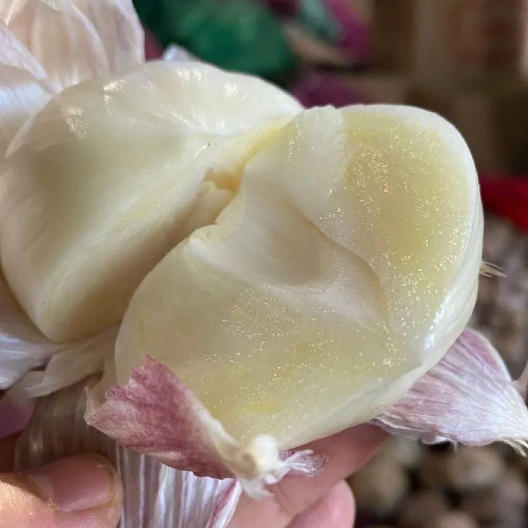 🧄Single Clove Garlic: Bold Flavor, Healthy Choice!