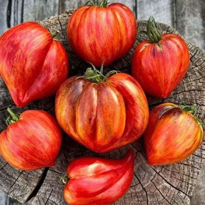 🍅❤️Crushed Heart Tomato Seeds - Flavor & Beauty