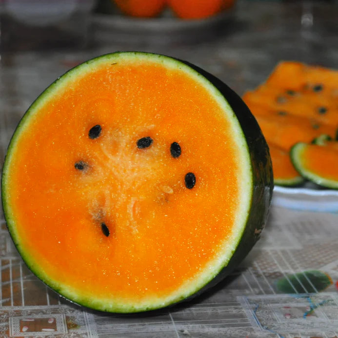 Orange Tendersweet Watermelon Seeds